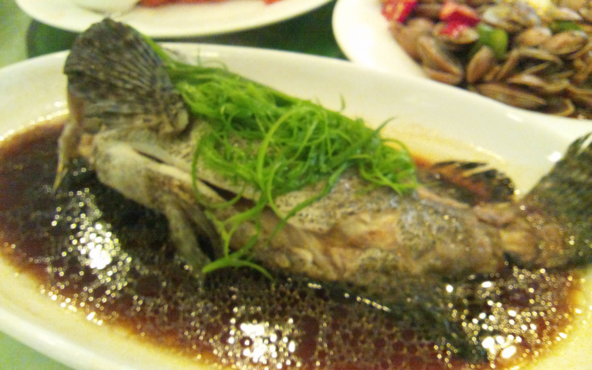 鱈の煮込み 鱈の煮込み
