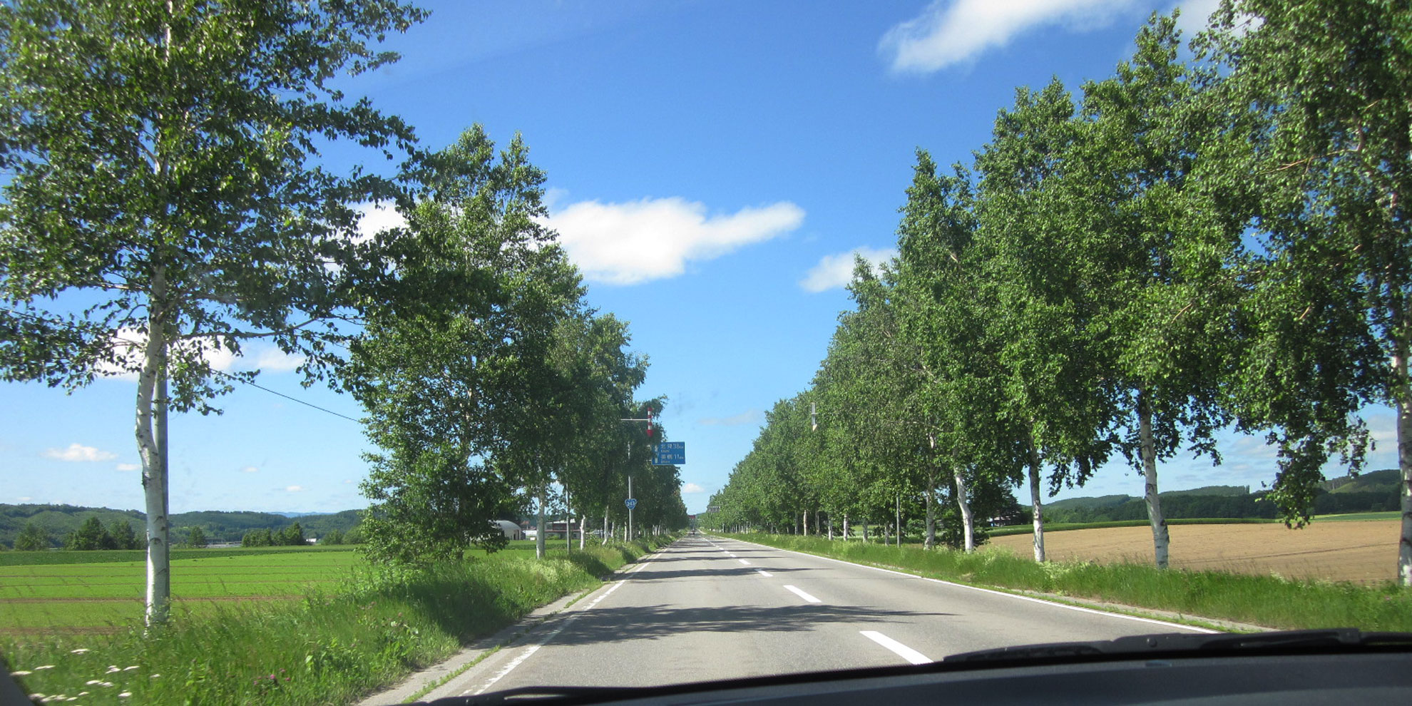 初夏の北海道！