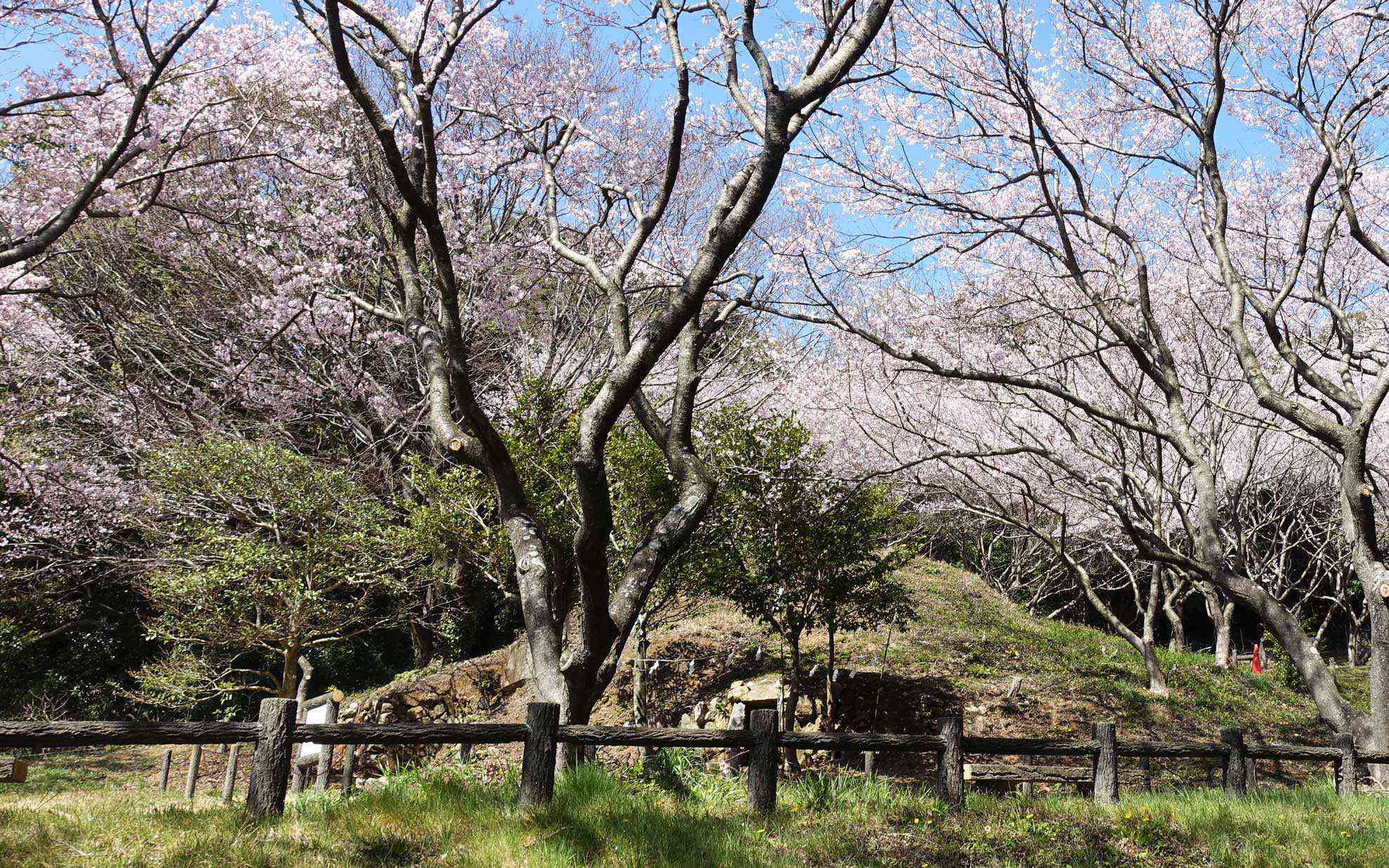 玄室が残る古墳としても貴重だと思います。