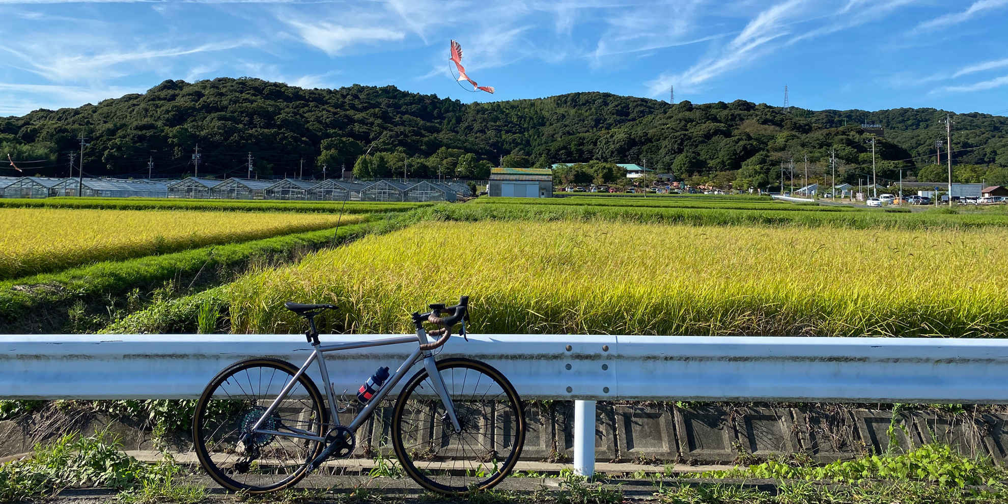 9月になりました。