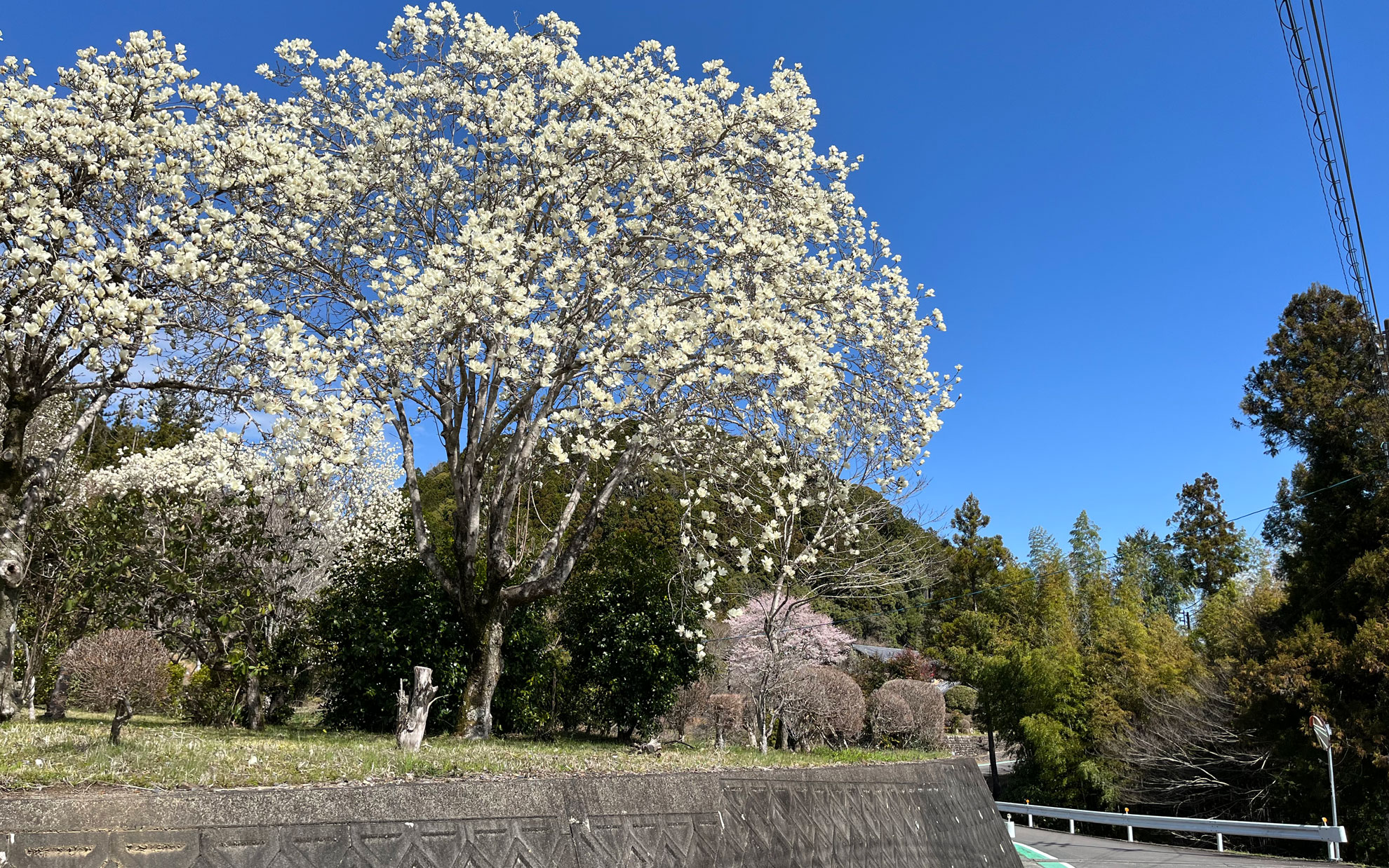 いい風景だ！