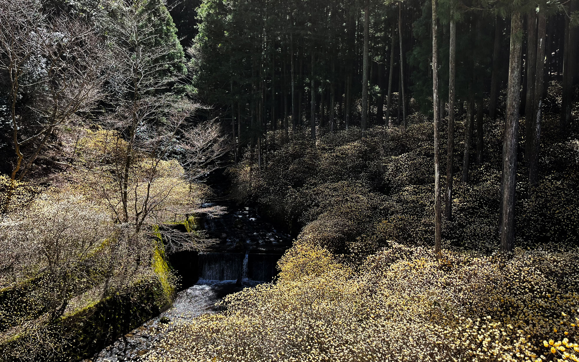 神秘的にも感じられました。