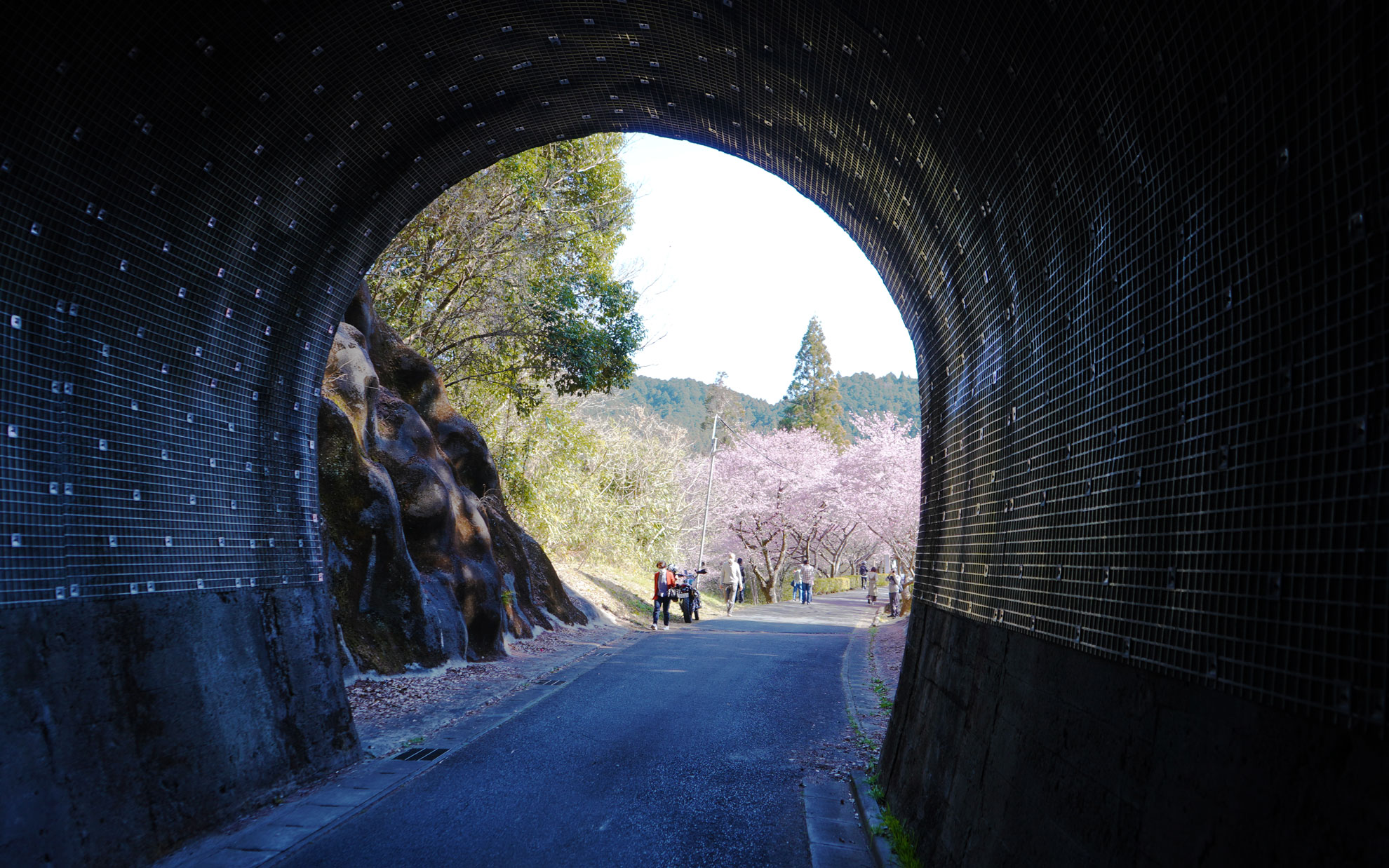 本長篠のトンネルから