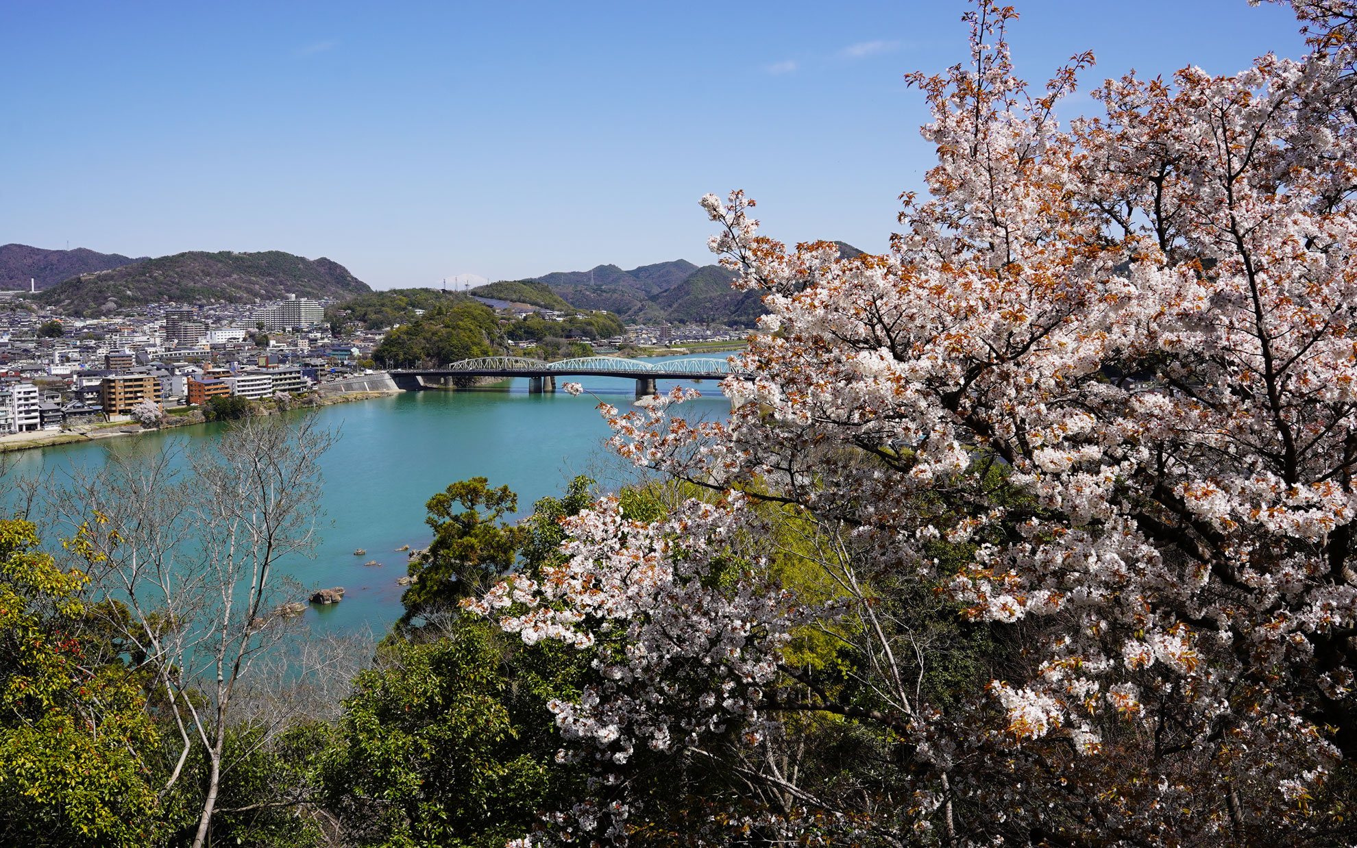 木曽川と桜が綺麗。昔からの眺めなのかな。