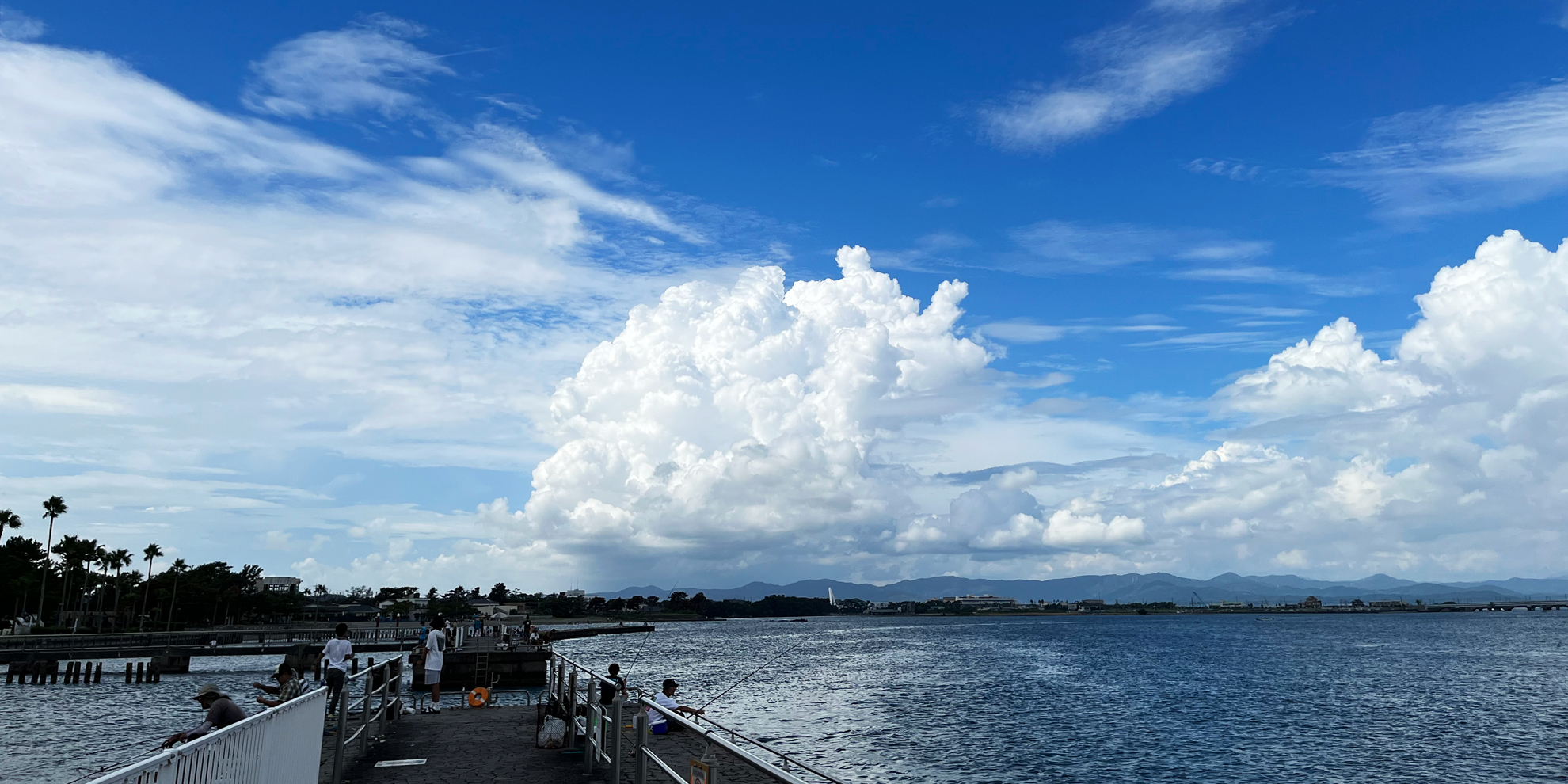 あけましておめでとう(汗)。もうすぐ来年ですね。