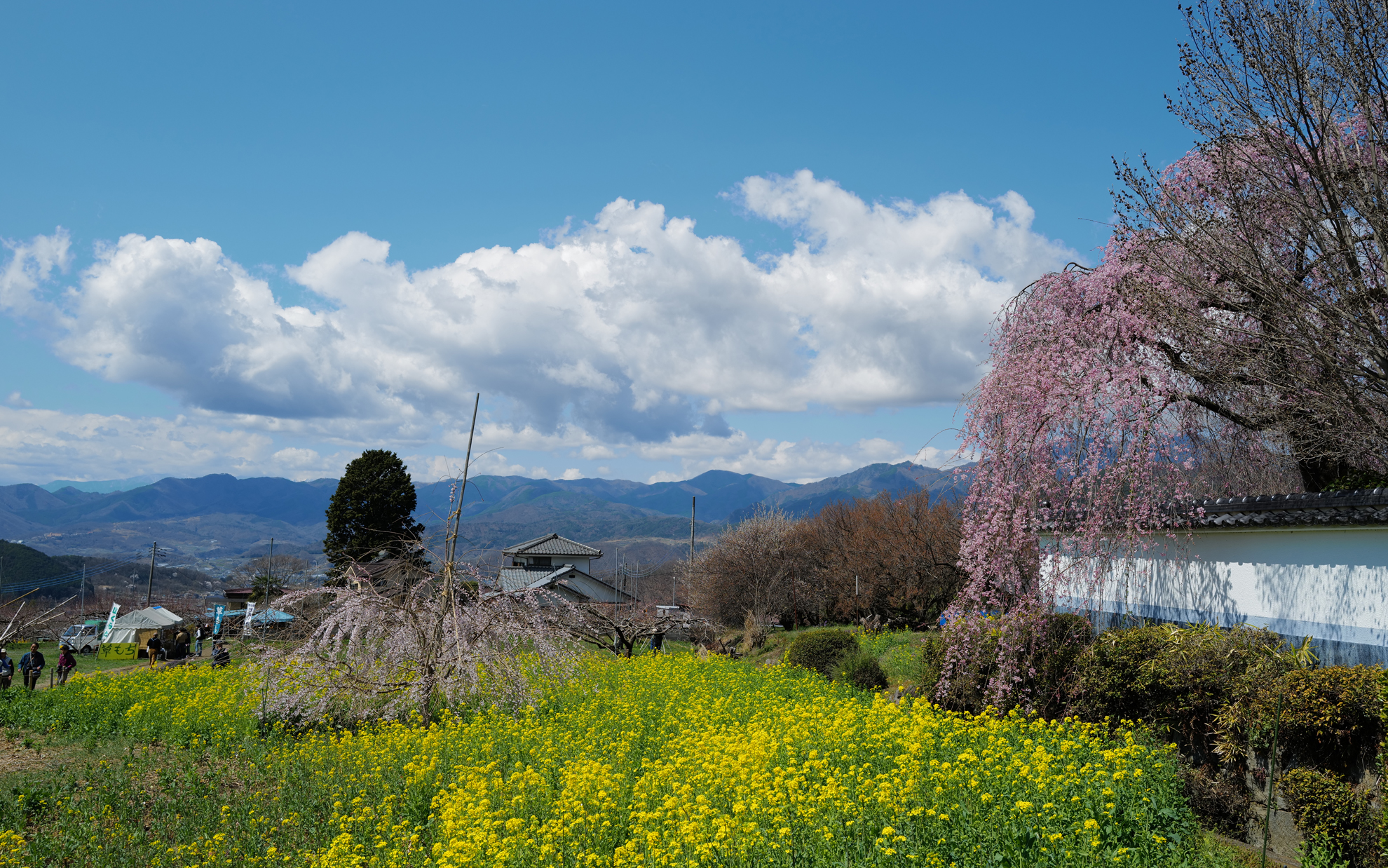甲州市の慈雲寺