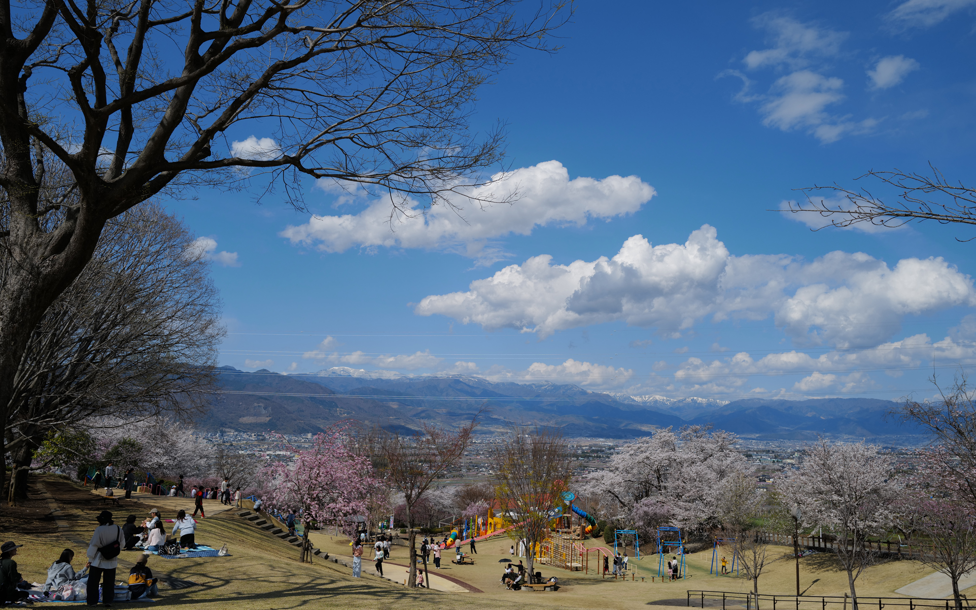 笛吹市八代ふるさと公園