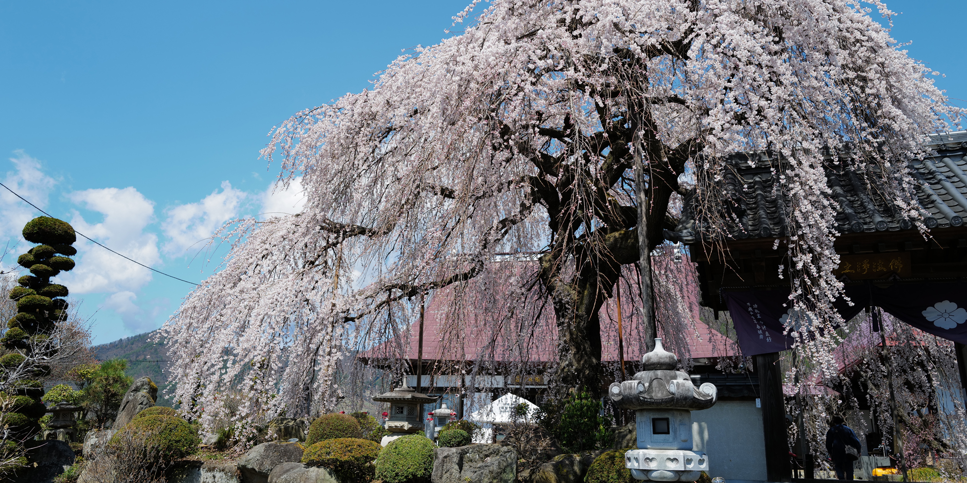 春がやってきた