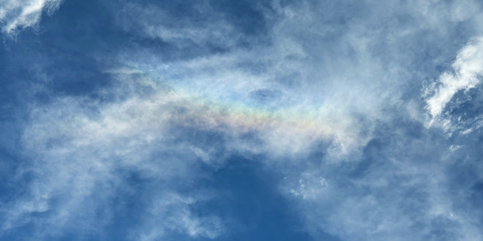 秋がやってきたゾン!