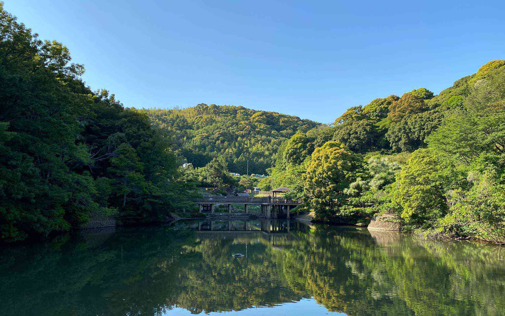 新緑の緑で山がもこもこしている。