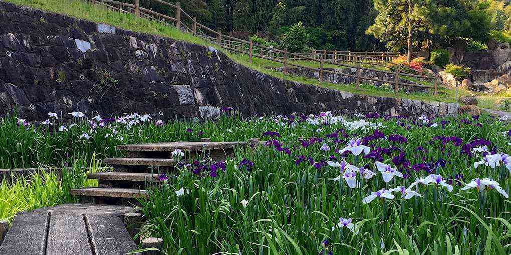 赤塚山公園を散歩
