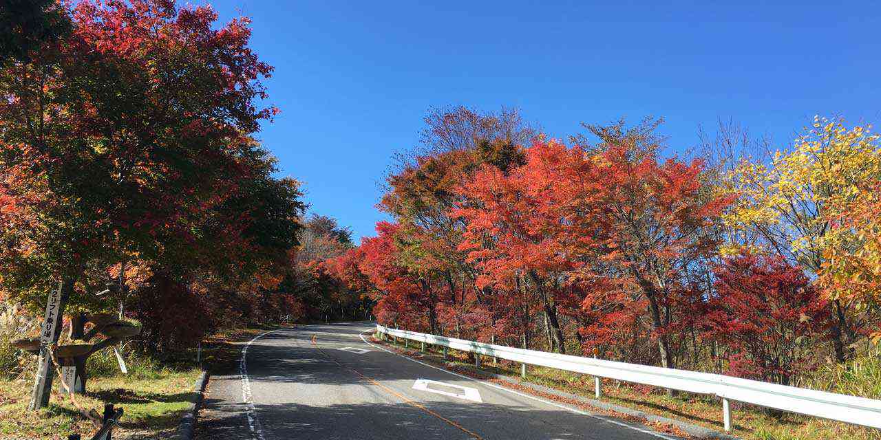 茶臼山に行ってきました。