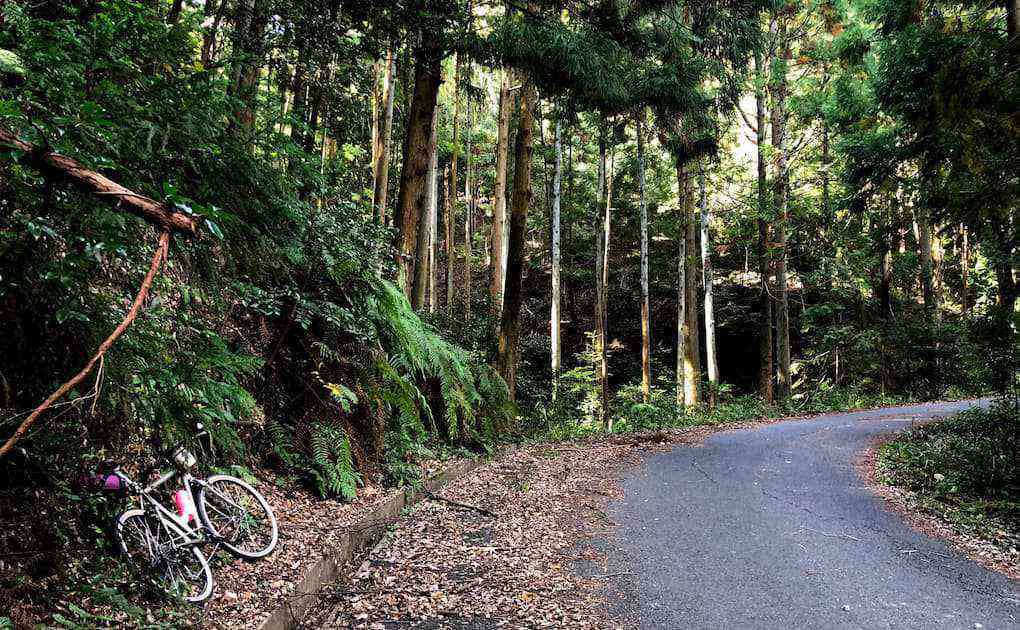 自転車乗るだけで楽しい。