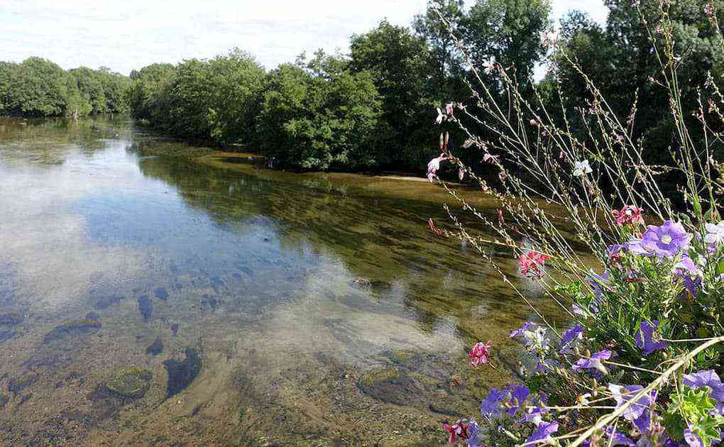 小川沿いの堤防を走る