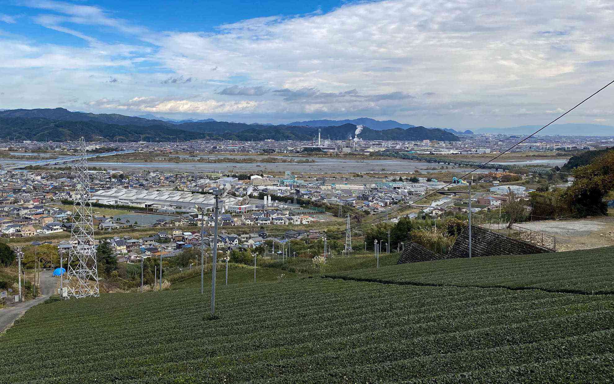 お茶畑と大井川