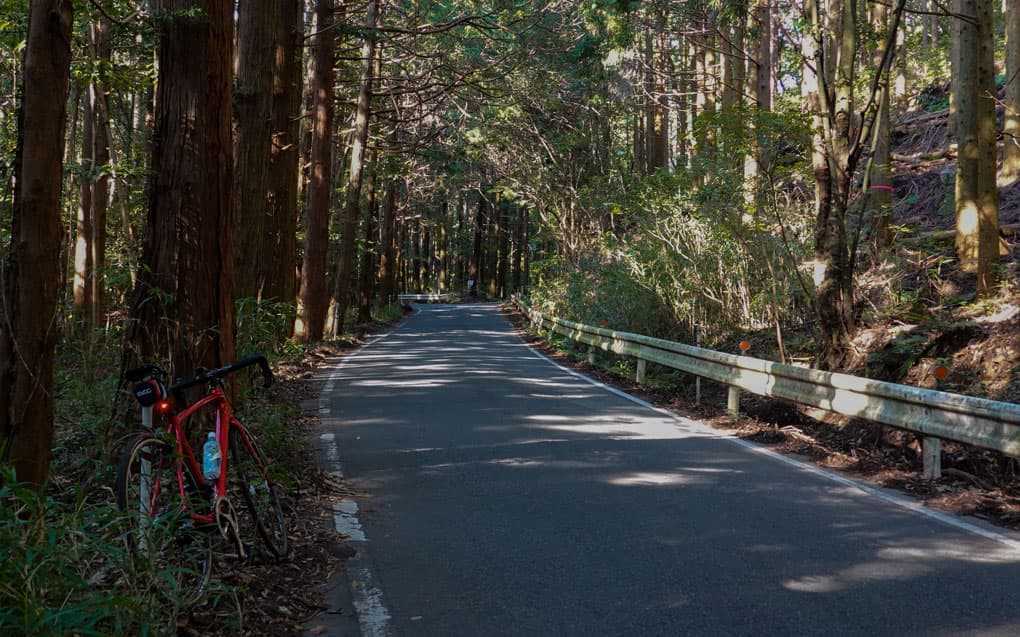 そま坂は秋らしくなってきました。