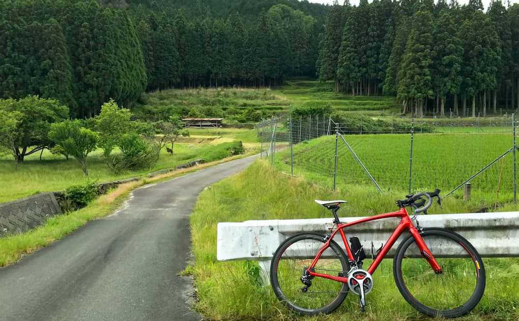 杣坂から萩へと続く道。緑が鮮やかです。